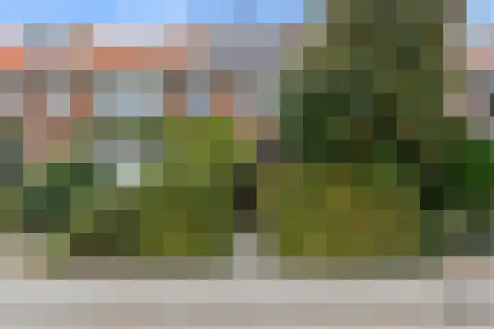 Lijsterlaan 49 Rotterdam thumbnail 4