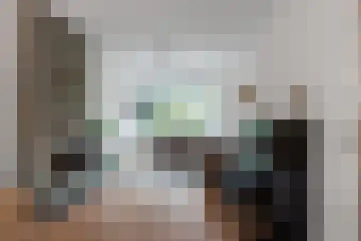 Lijsterlaan 49 Rotterdam thumbnail 6