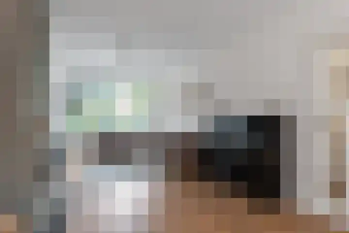 Lijsterlaan 49 Rotterdam thumbnail 7