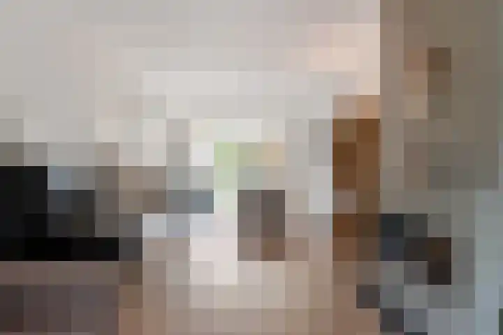 Lijsterlaan 49 Rotterdam thumbnail 8