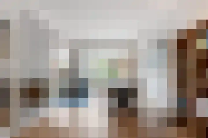 Lijsterlaan 49 Rotterdam thumbnail 9