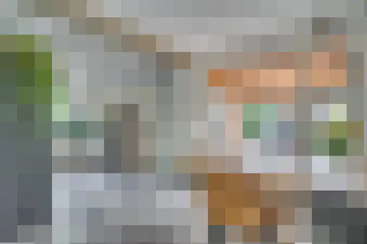 Lijsterlaan 5 Tegelen thumbnail 14