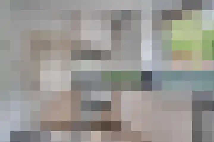 Lijsterlaan 5 Tegelen thumbnail 18