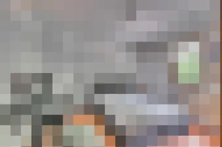 Lijsterlaan 5 Tegelen thumbnail 30