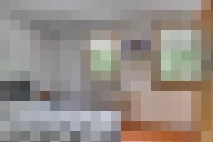 Lijsterlaan 5 Tegelen thumbnail 31