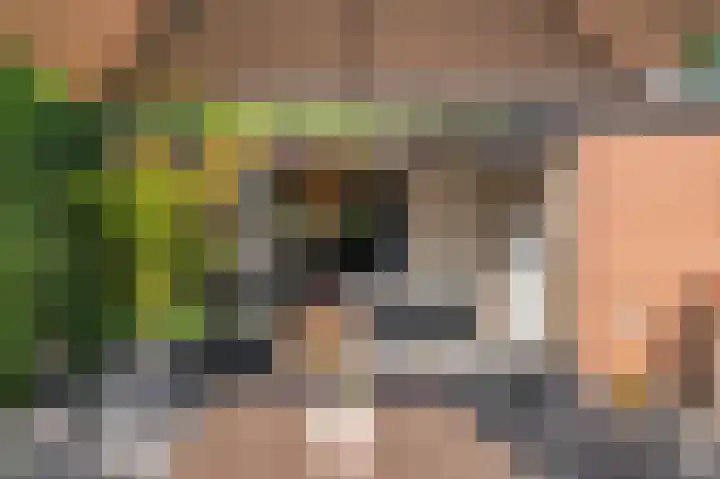 Lijsterlaan 5 Tegelen thumbnail 36