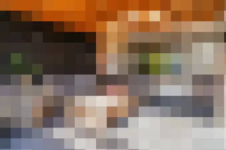 Lijsterlaan 5 Tegelen thumbnail 38