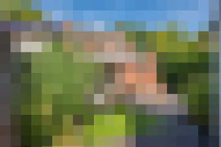 Lijsterlaan 5 Tegelen thumbnail 43