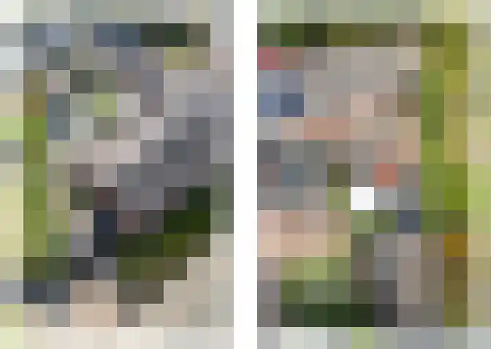 Lijsterlaan 5 Tegelen thumbnail 53