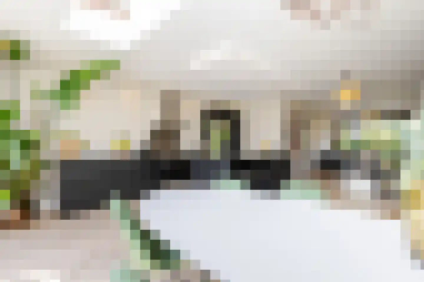 Lijsterlaan 53 Rotterdam thumbnail 10