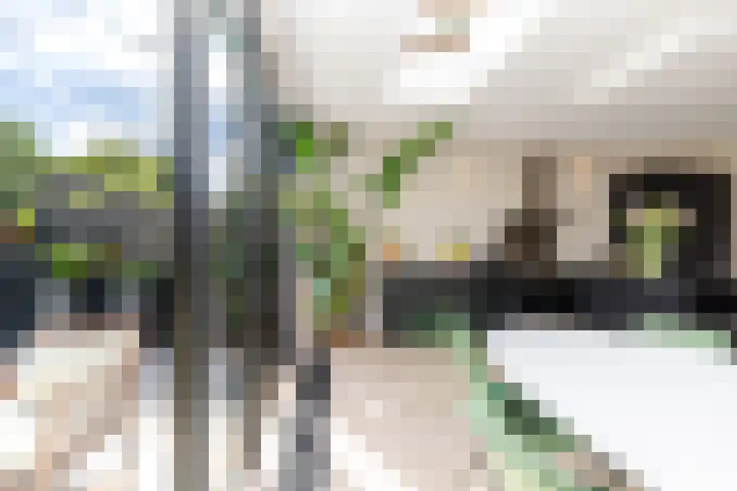 Lijsterlaan 53 Rotterdam thumbnail 11