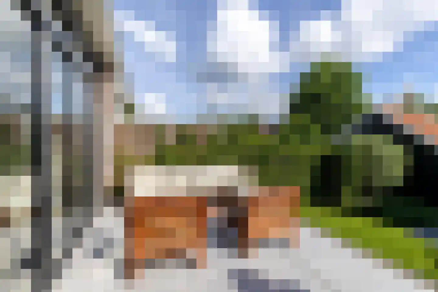 Lijsterlaan 53 Rotterdam thumbnail 16