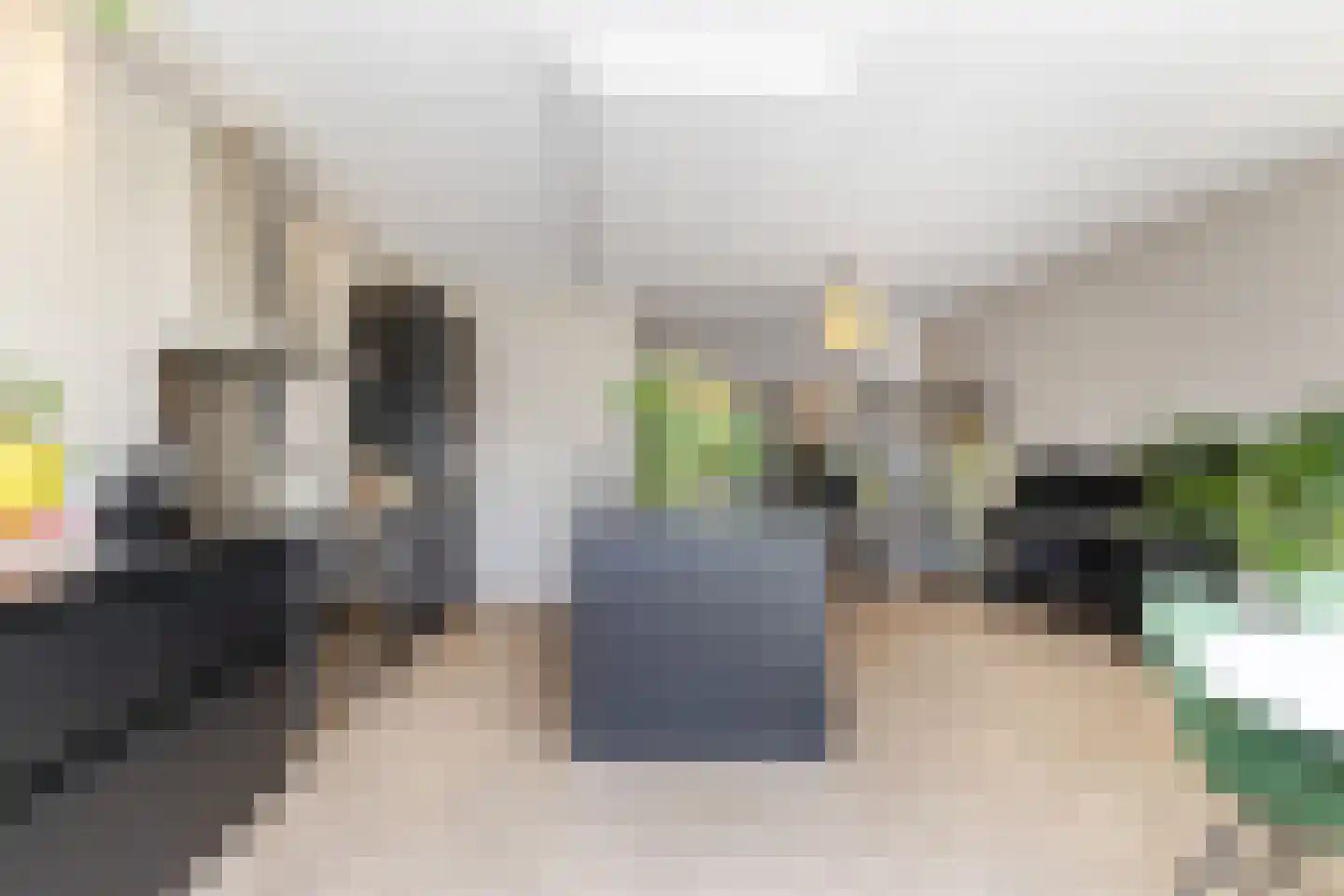 Lijsterlaan 53 Rotterdam thumbnail 20