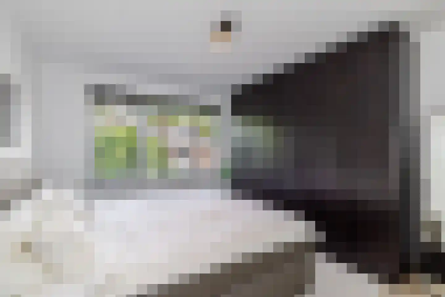 Lijsterlaan 53 Rotterdam thumbnail 33