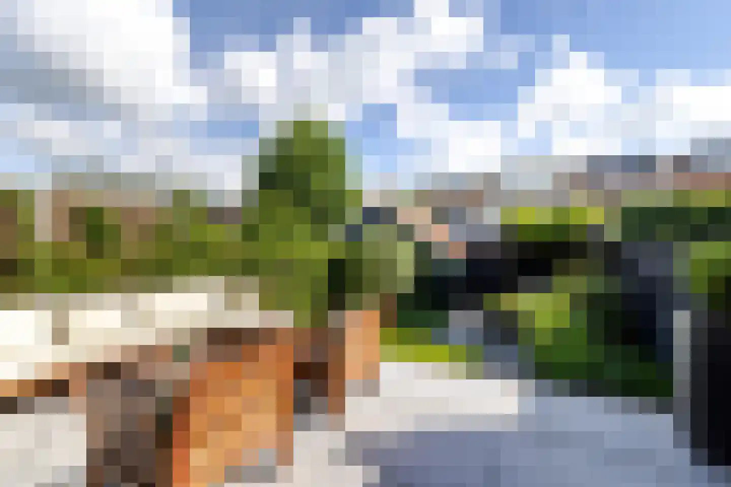 Lijsterlaan 53 Rotterdam thumbnail 4