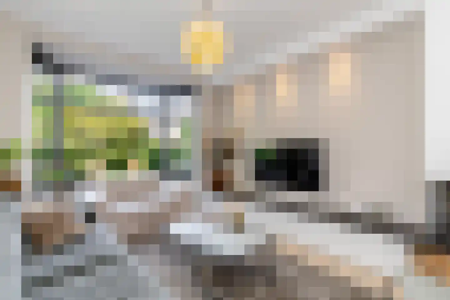 Lijsterlaan 53 Rotterdam thumbnail 5