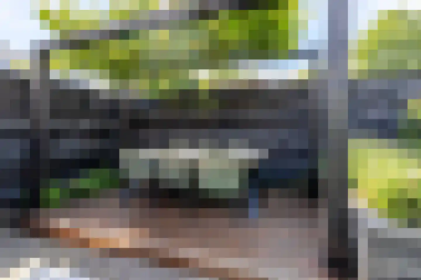 Lijsterlaan 53 Rotterdam thumbnail 51