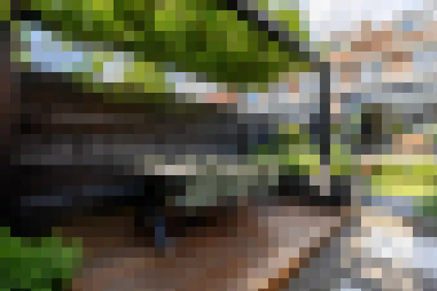 Lijsterlaan 53 Rotterdam thumbnail 53