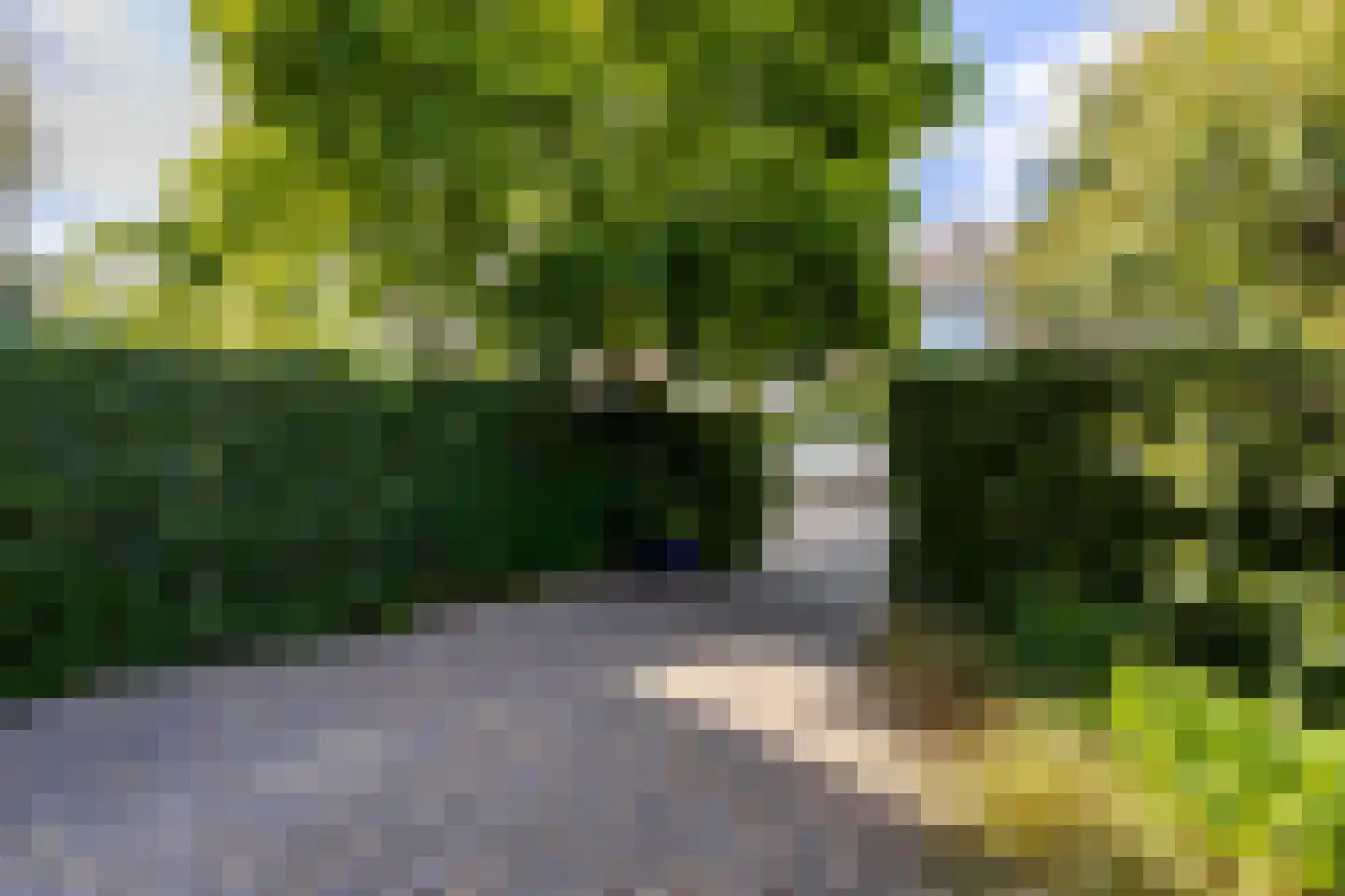 Lijsterlaan 53 Rotterdam thumbnail 58