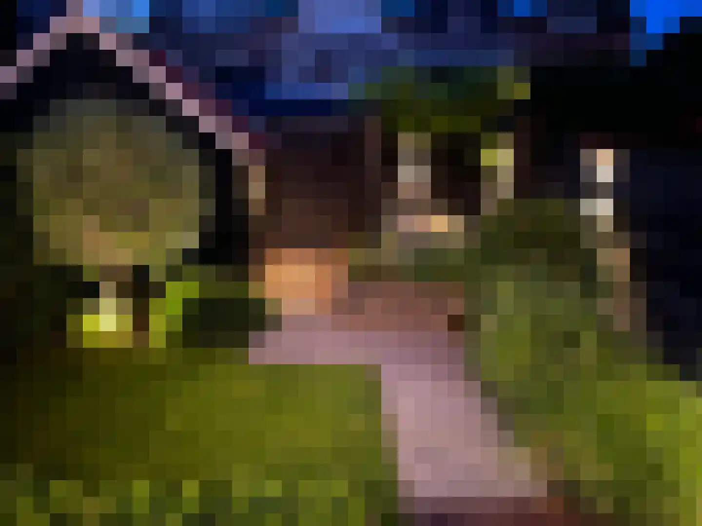 Lijsterlaan 53 Rotterdam thumbnail 68