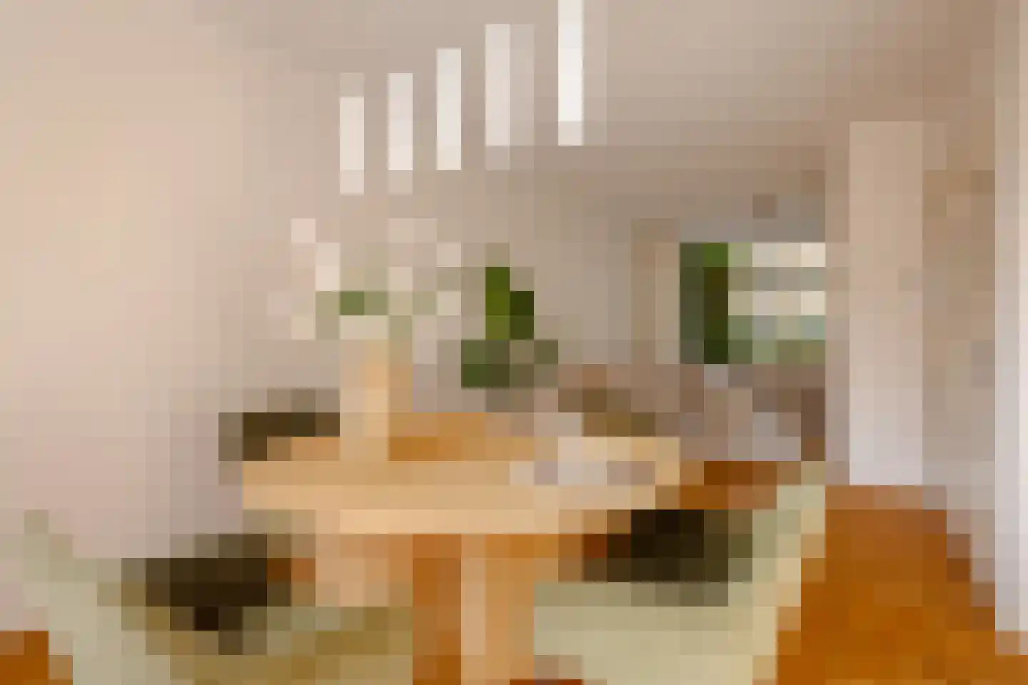 Lijsterlaan 58 Bussum thumbnail 10