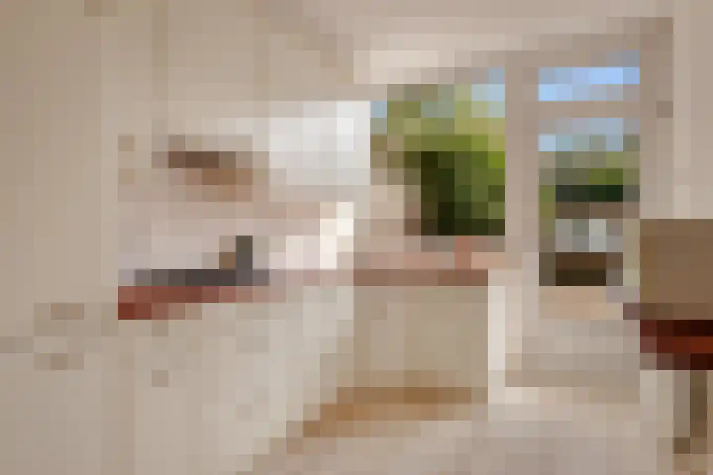 Lijsterlaan 58 Bussum thumbnail 13