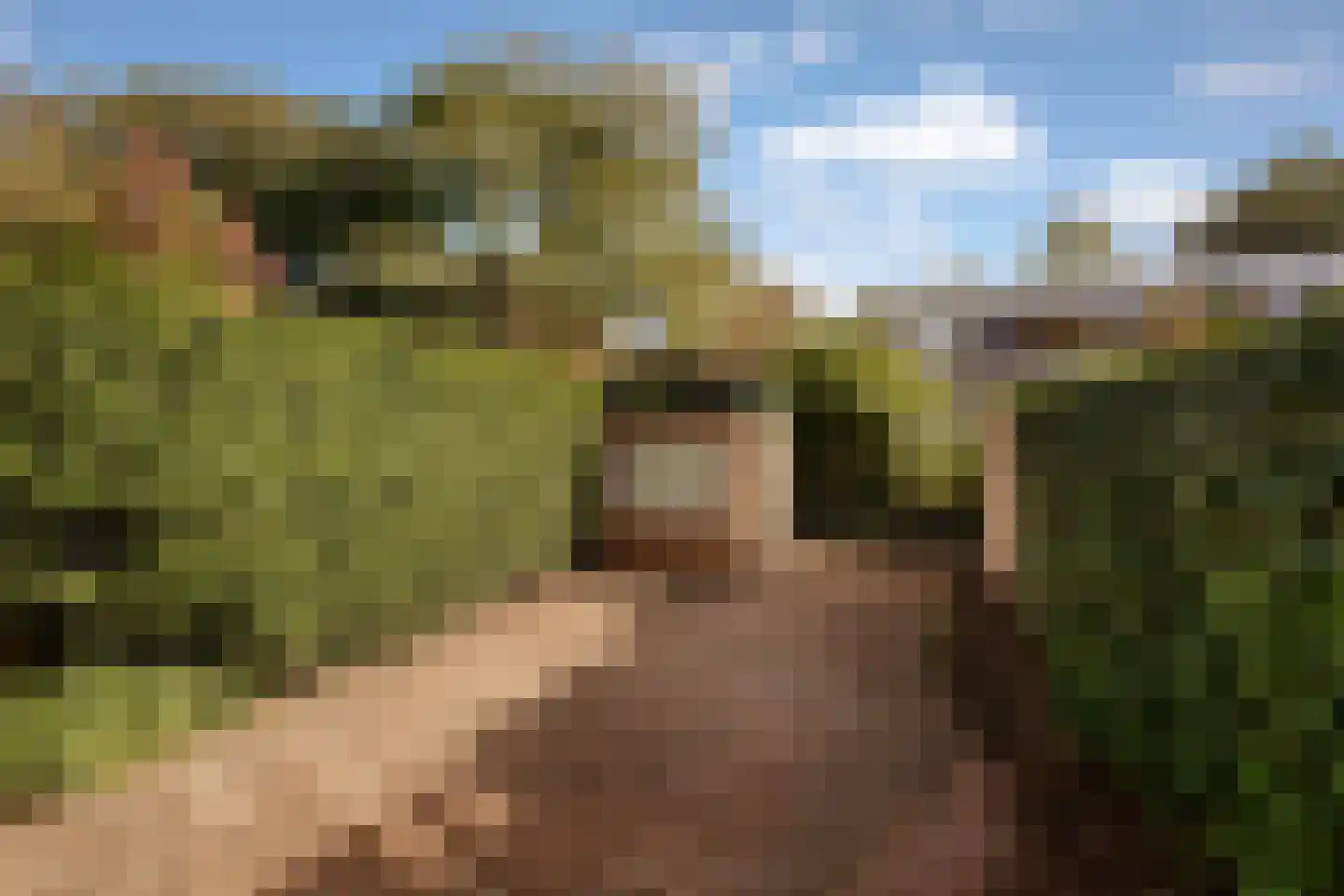 Lijsterlaan 58 Bussum thumbnail 30