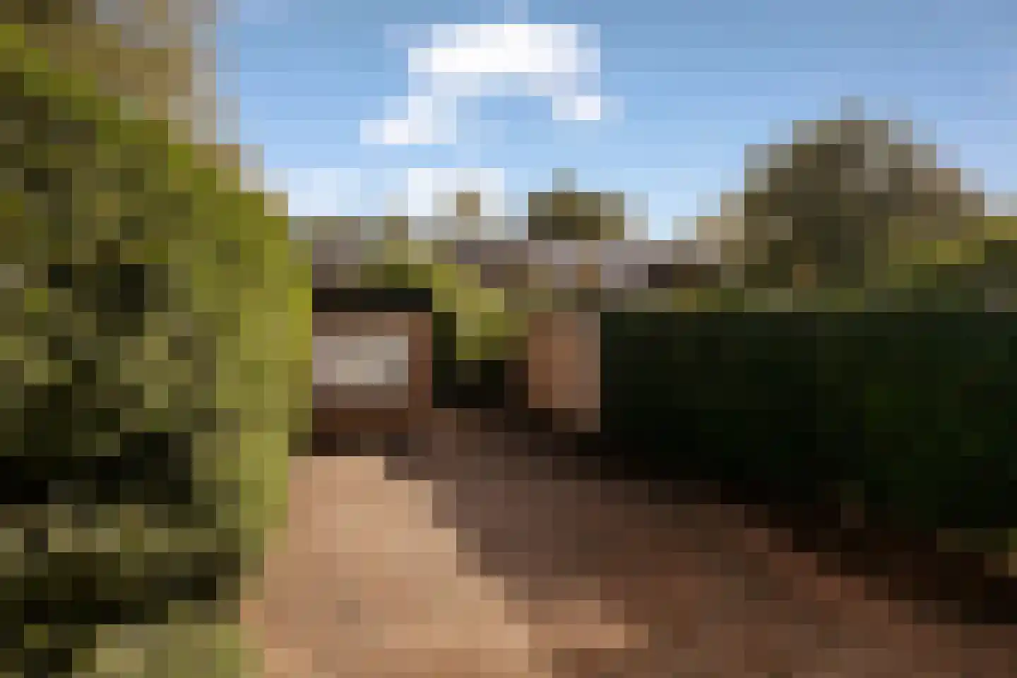 Lijsterlaan 58 Bussum thumbnail 32