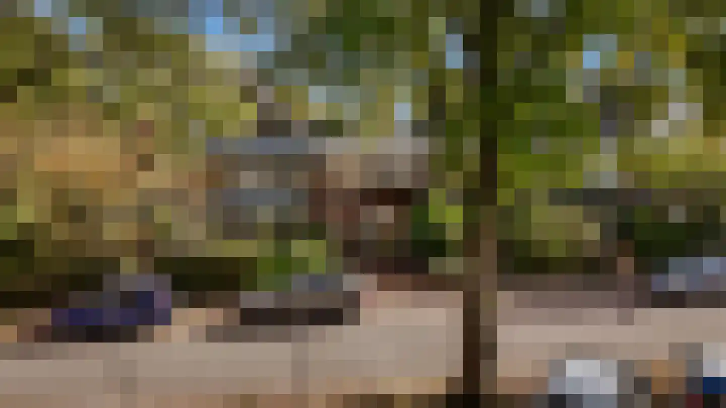 Lijsterlaan 58 Bussum thumbnail 35