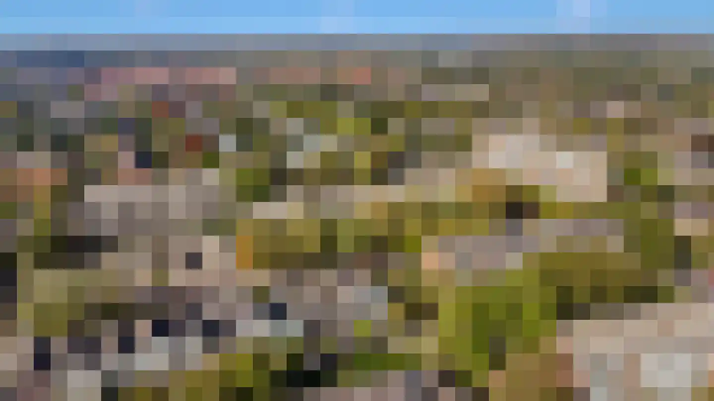 Lijsterlaan 58 Bussum thumbnail 39