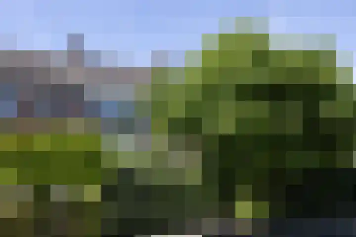Lijsterlaan 58 Rotterdam thumbnail 29