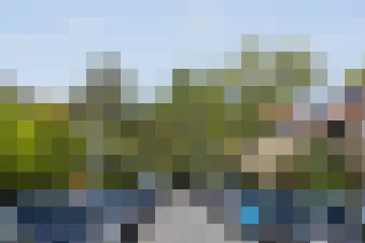 Lijsterlaan 58 Rotterdam thumbnail 30