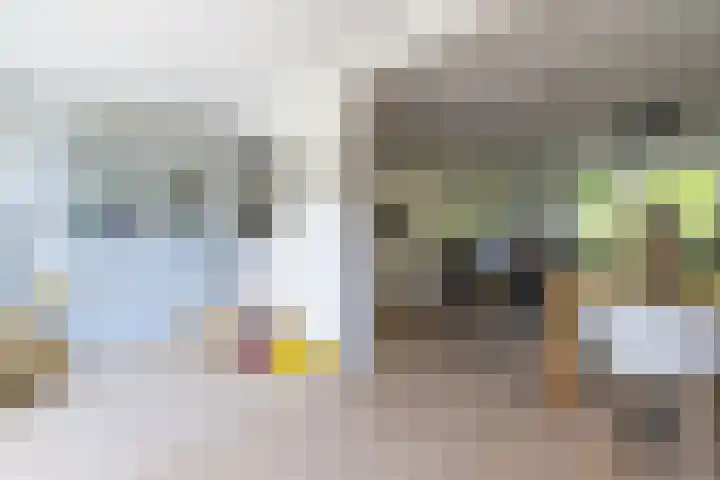 Lijsterlaan 58 Rotterdam thumbnail 5