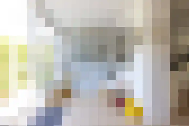 Lijsterlaan 58 Rotterdam thumbnail 6
