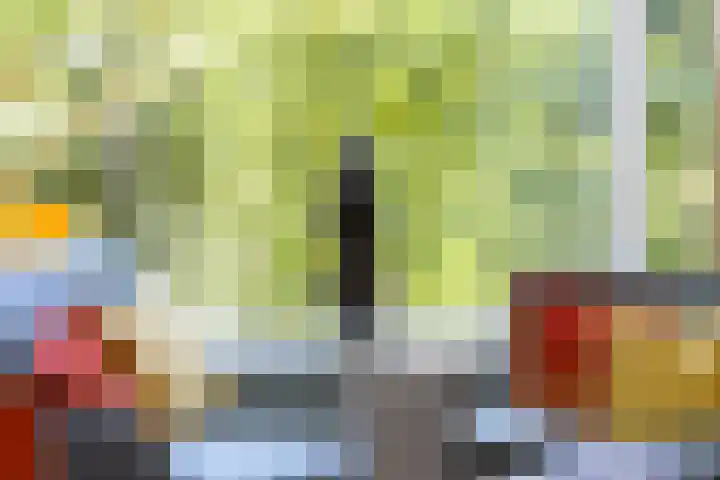Lijsterlaan 58 Rotterdam thumbnail 8
