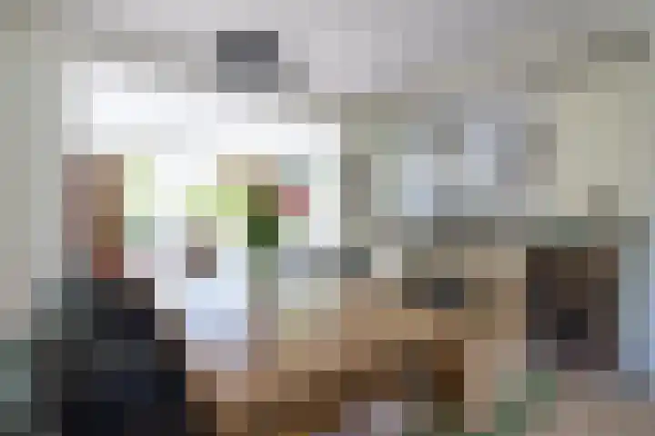 Lijsterlaan 58 Rotterdam thumbnail 9