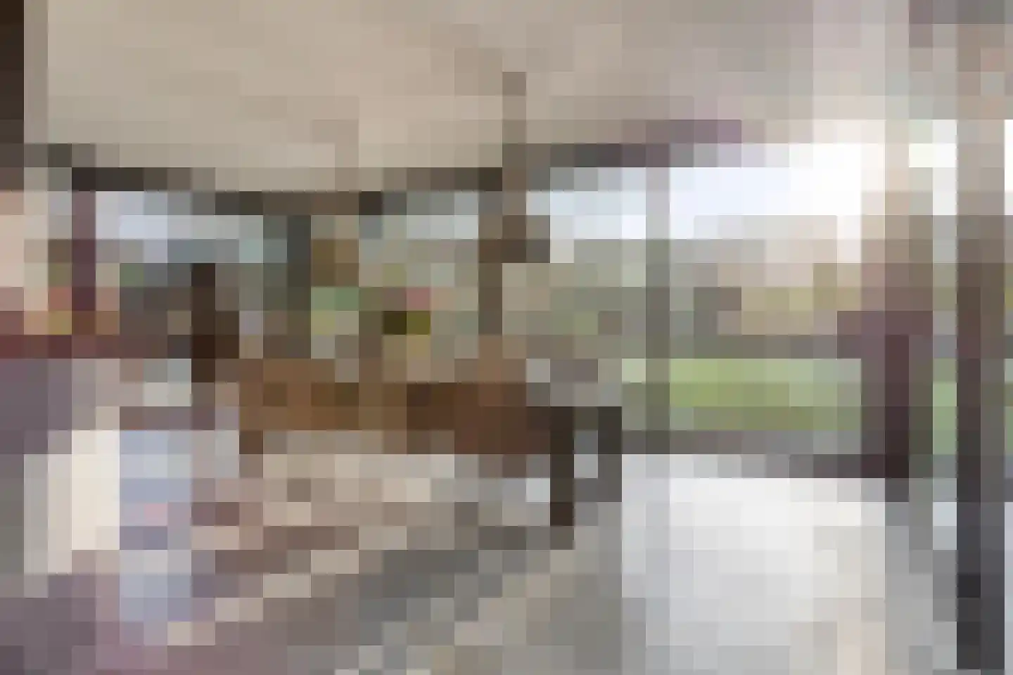 Lijsterlaan 6 Best thumbnail 15