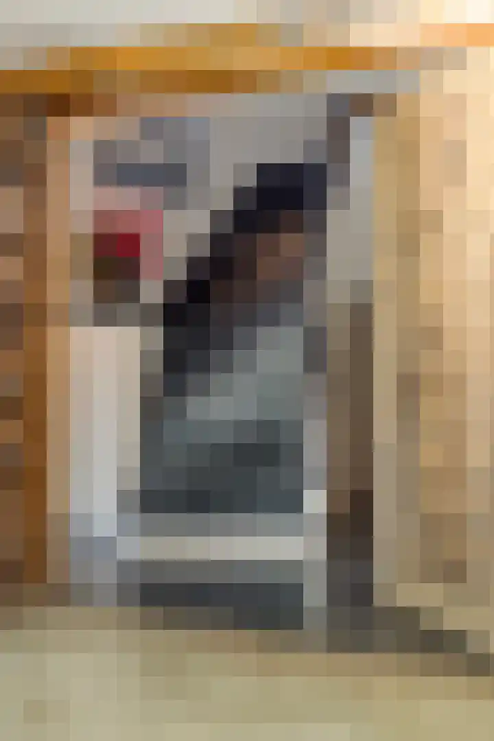 Lijsterlaan 6 Best thumbnail 22