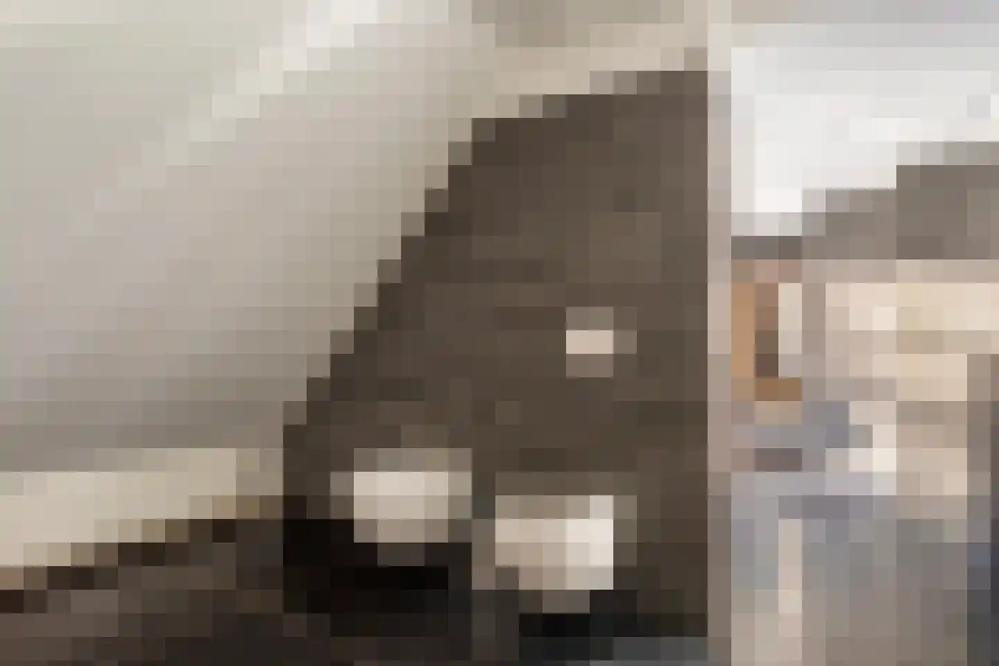 Lijsterlaan 6 Best thumbnail 27