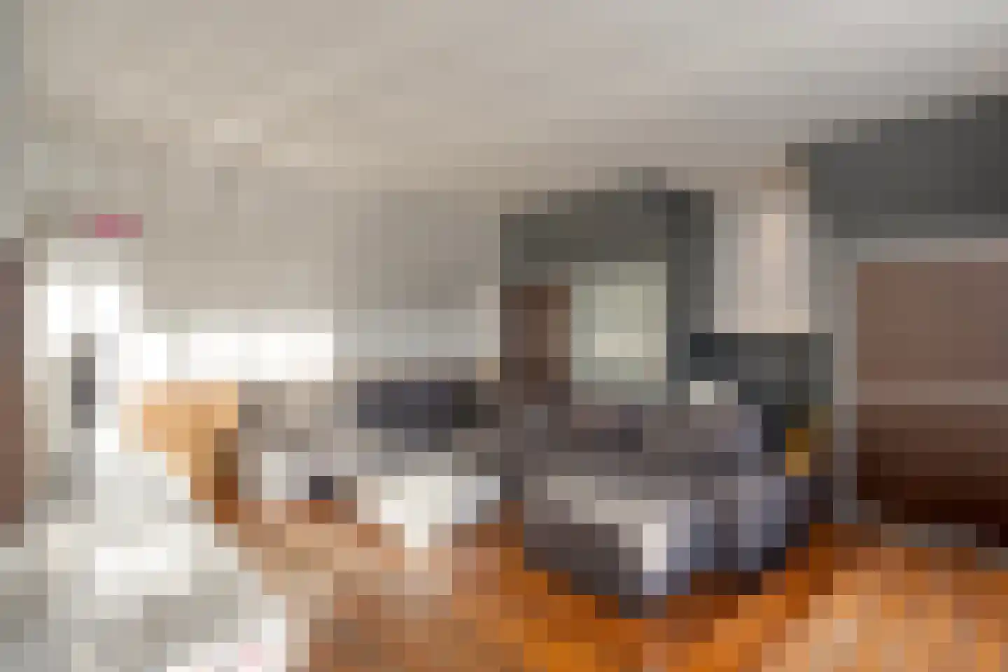 Lijsterlaan 6 Best thumbnail 41