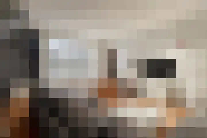 Lijsterlaan 6 Best thumbnail 42