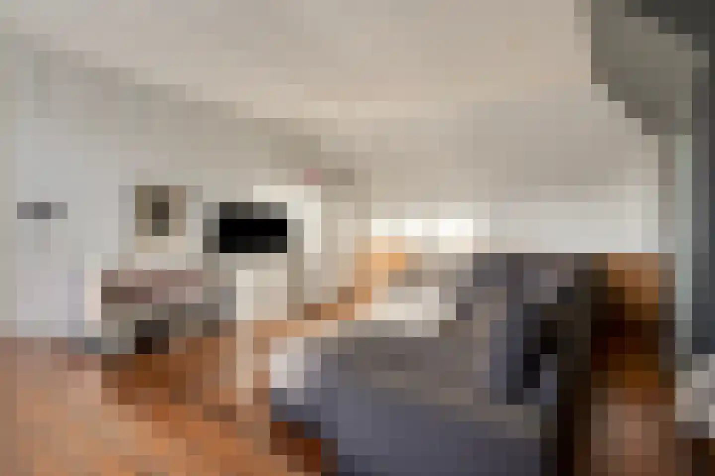 Lijsterlaan 6 Best thumbnail 42
