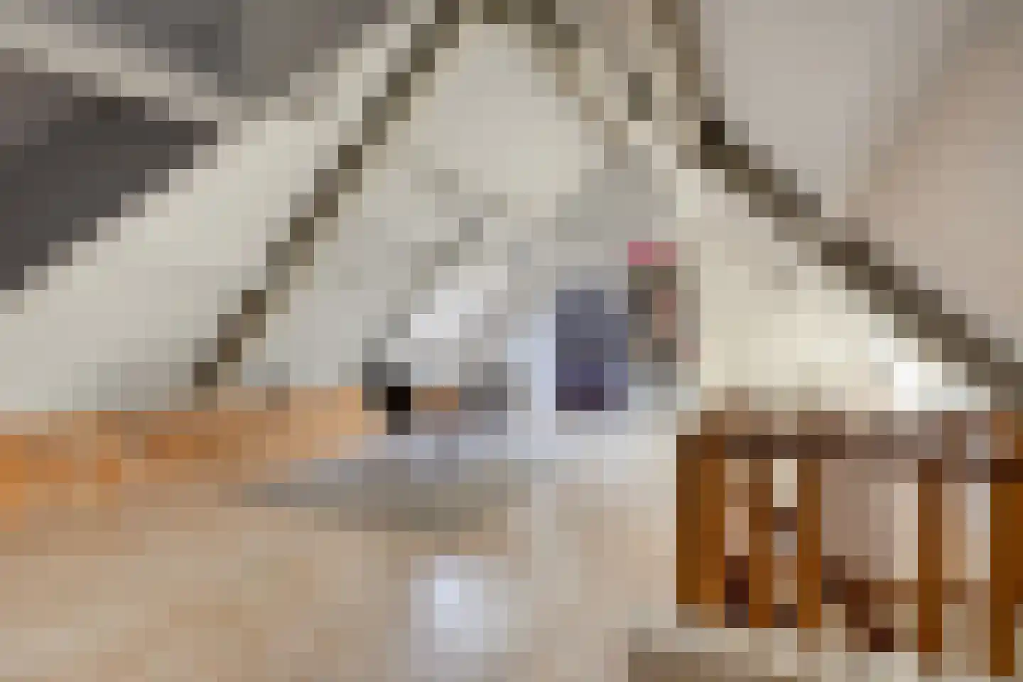 Lijsterlaan 6 Best thumbnail 45