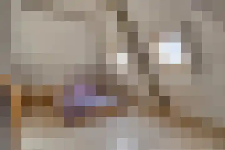 Lijsterlaan 6 Best thumbnail 46