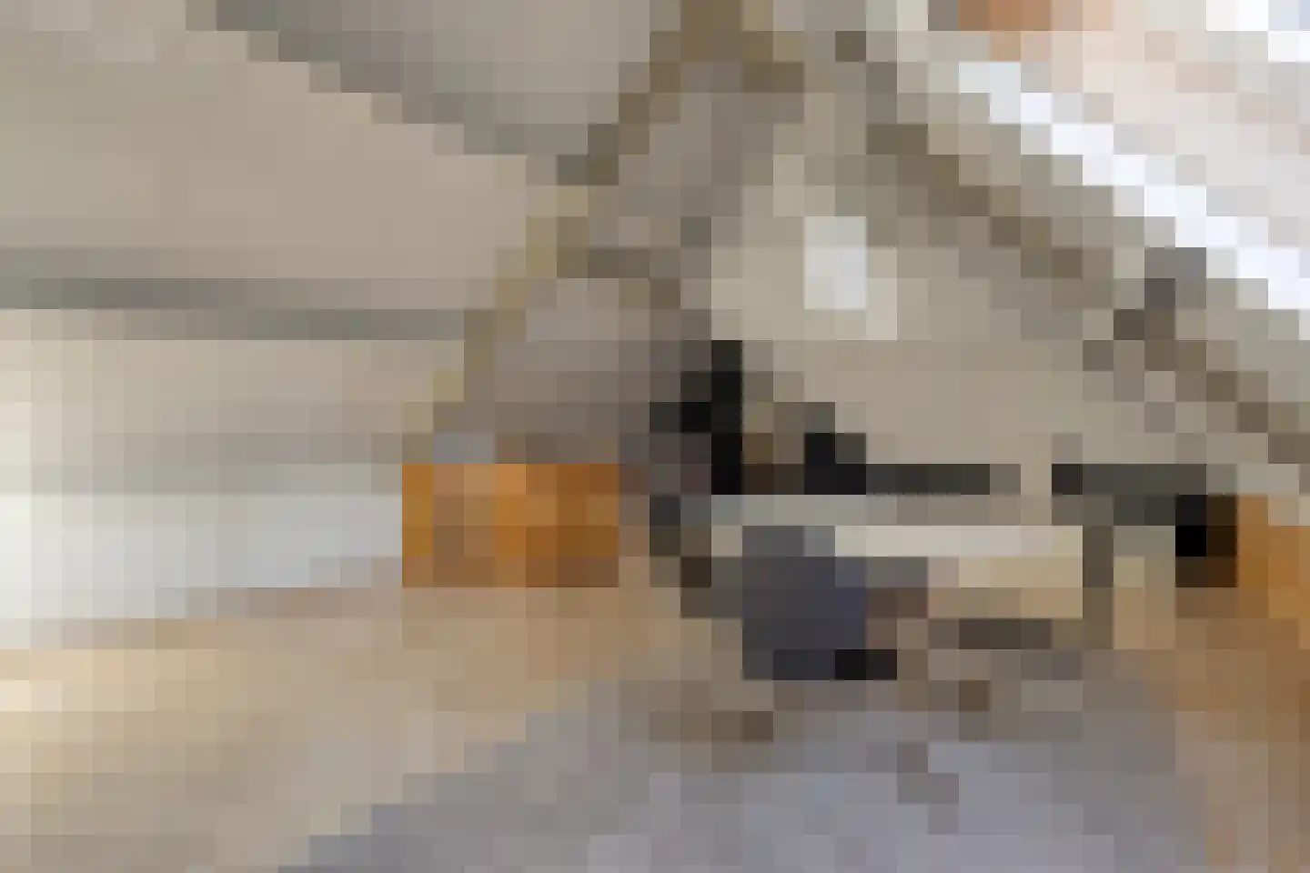 Lijsterlaan 6 Best thumbnail 46