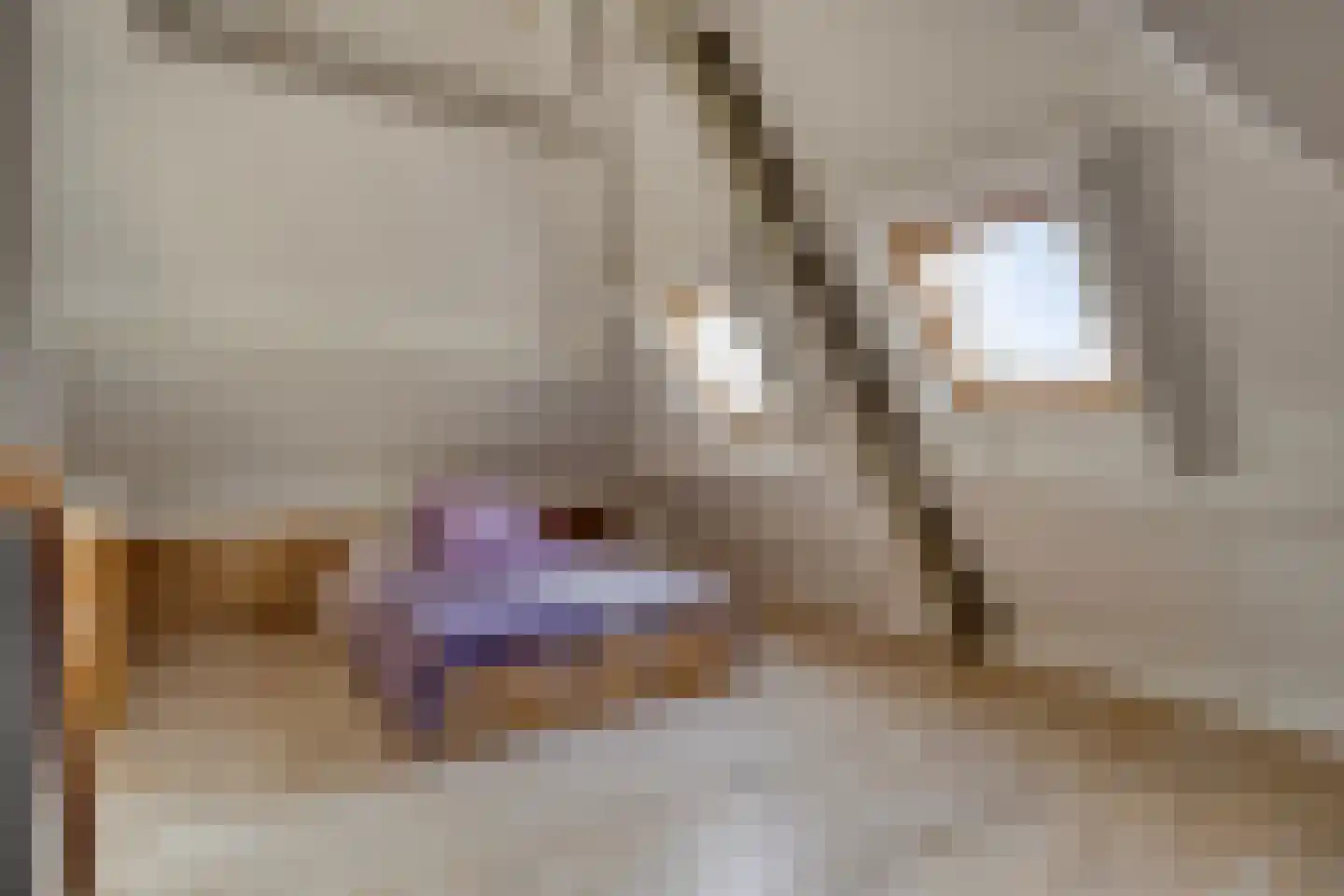 Lijsterlaan 6 Best thumbnail 47