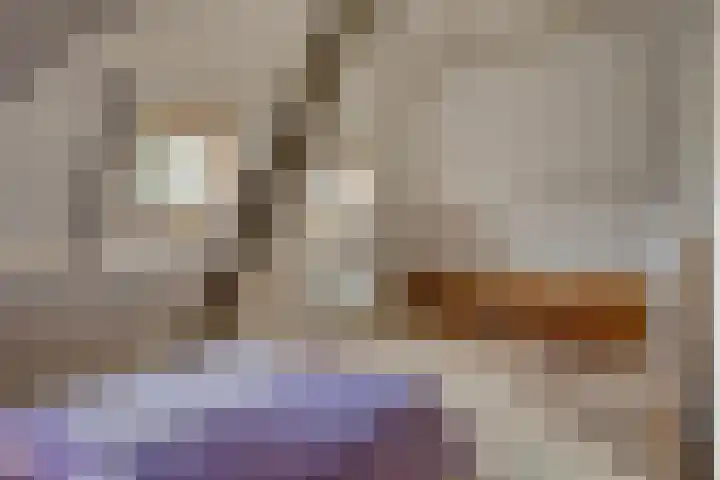 Lijsterlaan 6 Best thumbnail 47