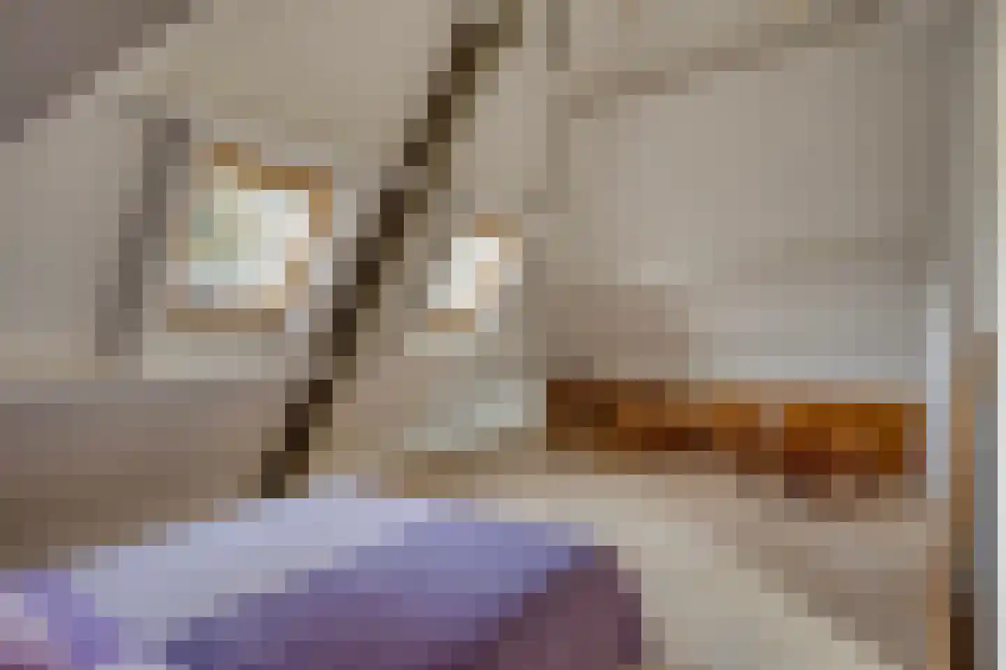 Lijsterlaan 6 Best thumbnail 48