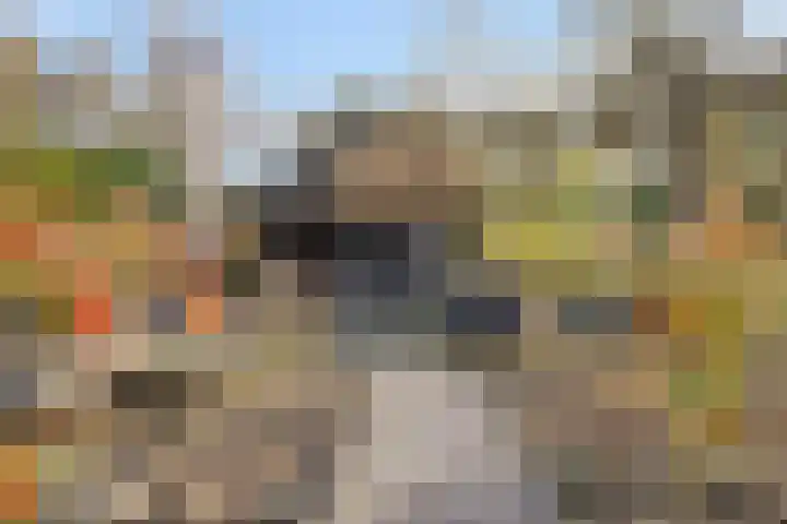 Lijsterlaan 6 Best thumbnail 54