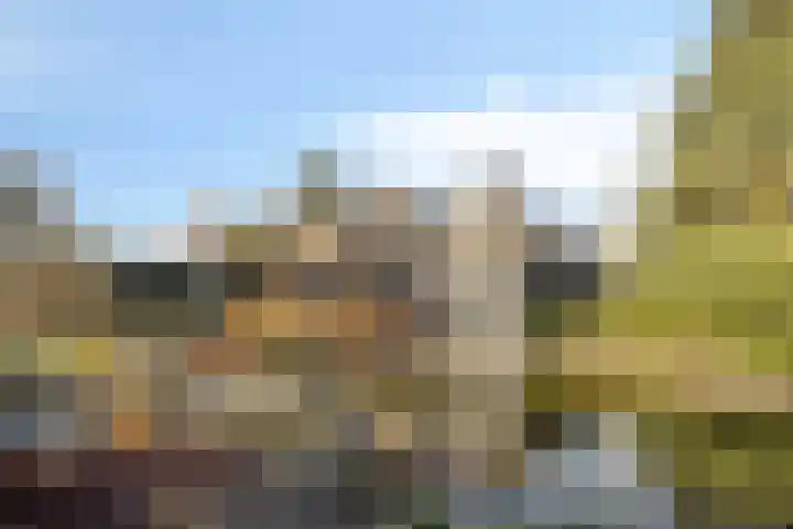 Lijsterlaan 6 Best thumbnail 55